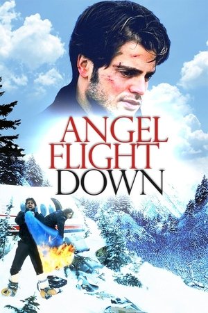Angel Flight Down (1996)