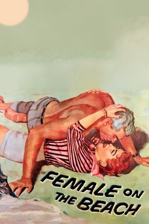 Female on the Beach (1955)