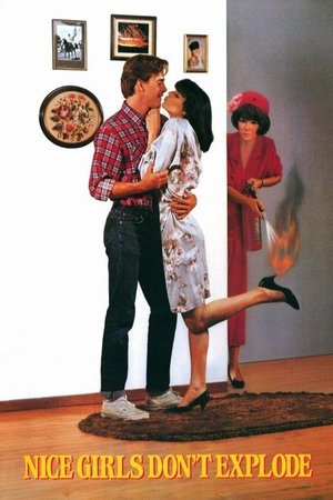 Nice Girls Dont Explode (1987)
