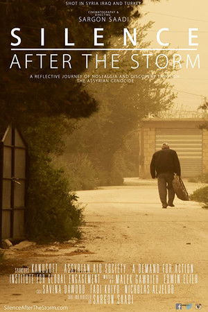 Silence After the Storm (2016)