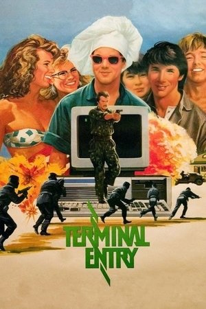 Terminal Entry (1987)