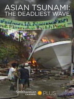 Asian Tsunami The Deadliest Wave (2014)