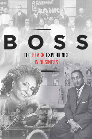 Boss The Black Experience in Business (2019)
