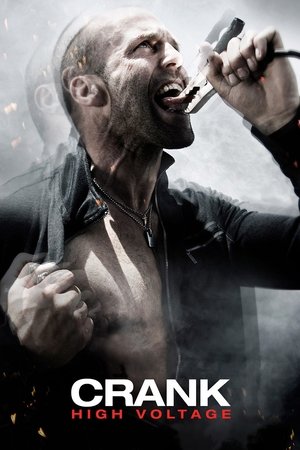 Crank High Voltage 2009