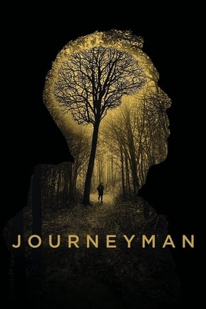 Journeyman (2017)