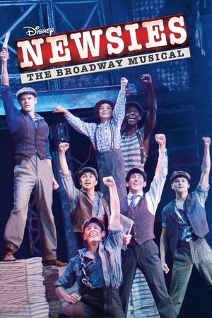 Disneys Newsies: The Broadway Musical! (2017)