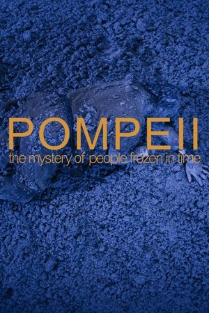 Pompeii The Mystery of the People Frozen in Time (2013)