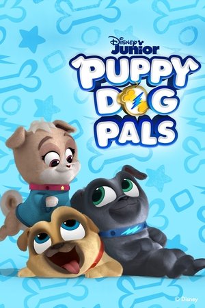 Puppy Dog Pals (2017-)