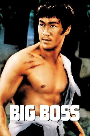 The Big Boss (1971) Bruce Lee
