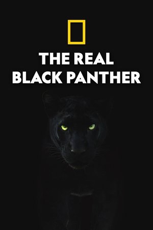 The Real Black Panther (2020)