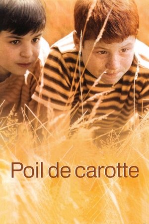 Poil de carotte (2003)
