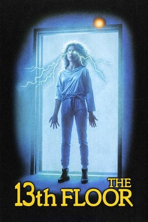 The 13th Floor (1988)
