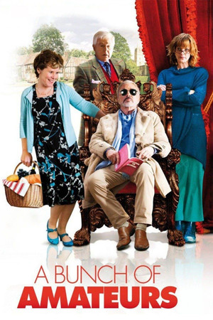 A Bunch of Amateurs (2008)