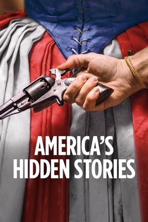 Americas Hidden Stories (2019 )