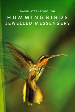 Hummingbirds Jewelled Messengers (2012)