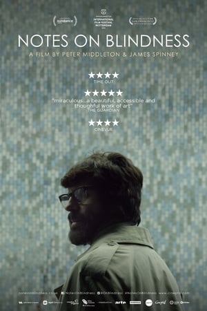 Notes on Blindness (2016)