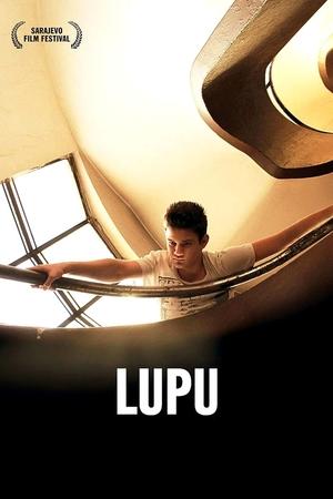 Lupu (2013)