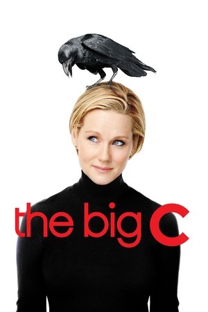 The Big C (20102013)
