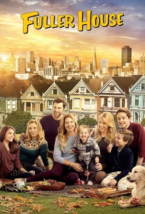 Fuller House (TV Series 2016 )
