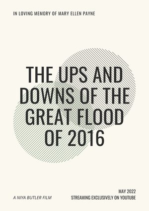 The Ups and Downs of the Great Flood of 2016 (2022)