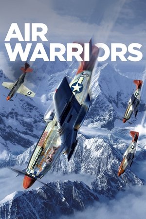 Air Warriors (2014 )
