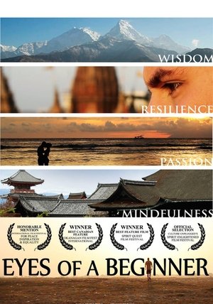 Eyes of a Beginner (2012)