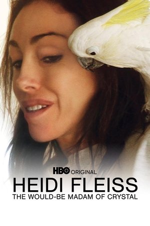 Heidi Fleiss: The WouldBe Madam of Crystal (2008)