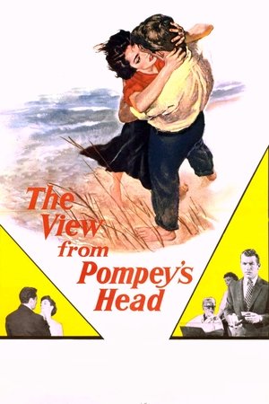 The View from Pompeys Head (1955)