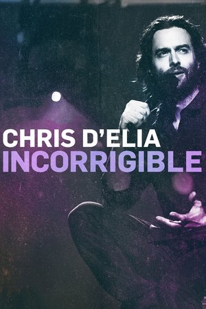 Chris DElia: Incorrigible (2015)