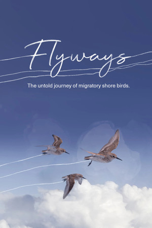 Flyways the untold journey of migratory shorebirds (2023)