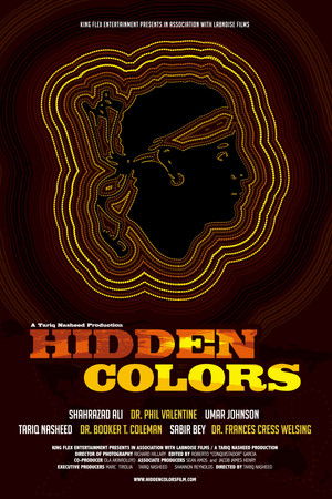 Hidden Colors (2011)