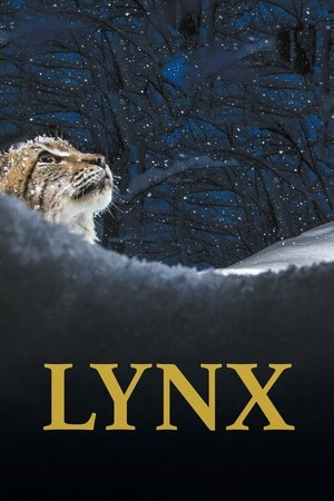 Lynx (2021)
