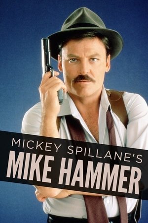 The New Mike Hammer (1984-1989)