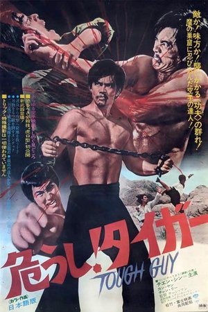 Kung Fu Master Bruce Lee Style (1972)