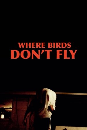 Where Birds Dont Fly (2017)