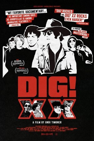 DIG XX (2024)