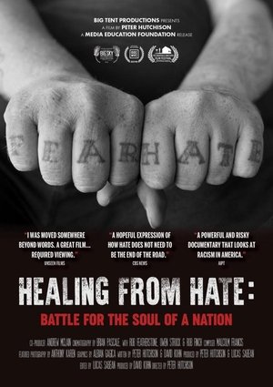 Healing From Hate: Battle for the Soul of a Nation (2019)