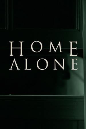 Home Alone (2017 )