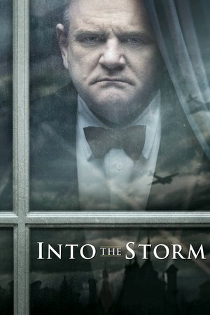 The Storm (2009)