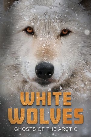 White Wolves: Ghosts of the Arctic (2017)