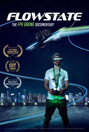 Flowstate The FPV Drone Documentary (2021)