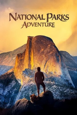 America Wild: National Parks Adventure (2016)