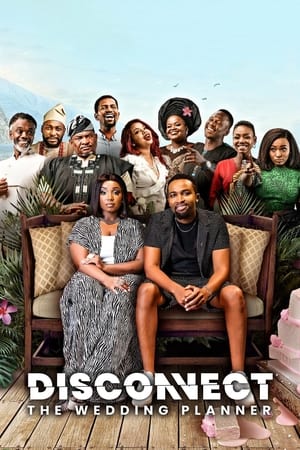 Disconnect The Wedding Planner (2023)