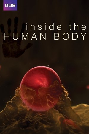 Inside the Human Body (2011 )