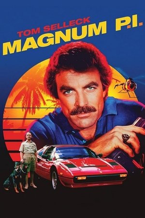 Magnum, P.I. (19801988)