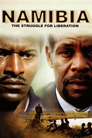 Namibia: The Struggle for Liberation (2007)