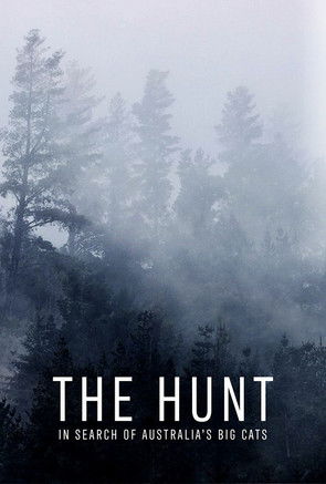 The Hunt In Search of Australias Big Cats (2020) Poster