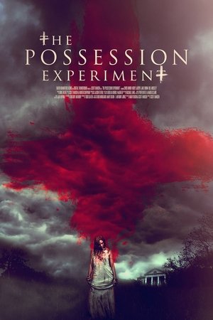 The Possession Experiment (2015)