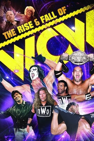 WWE The Rise and Fall of WCW (2009)