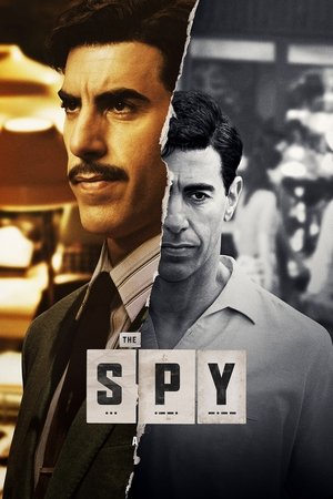 The Spy (2017 )